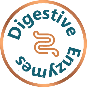DIGESTIVE