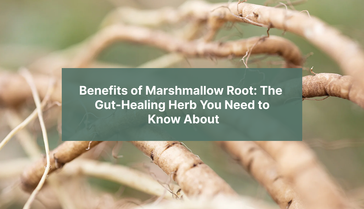 benefits-of-marshmallow-root-the-guth-healing