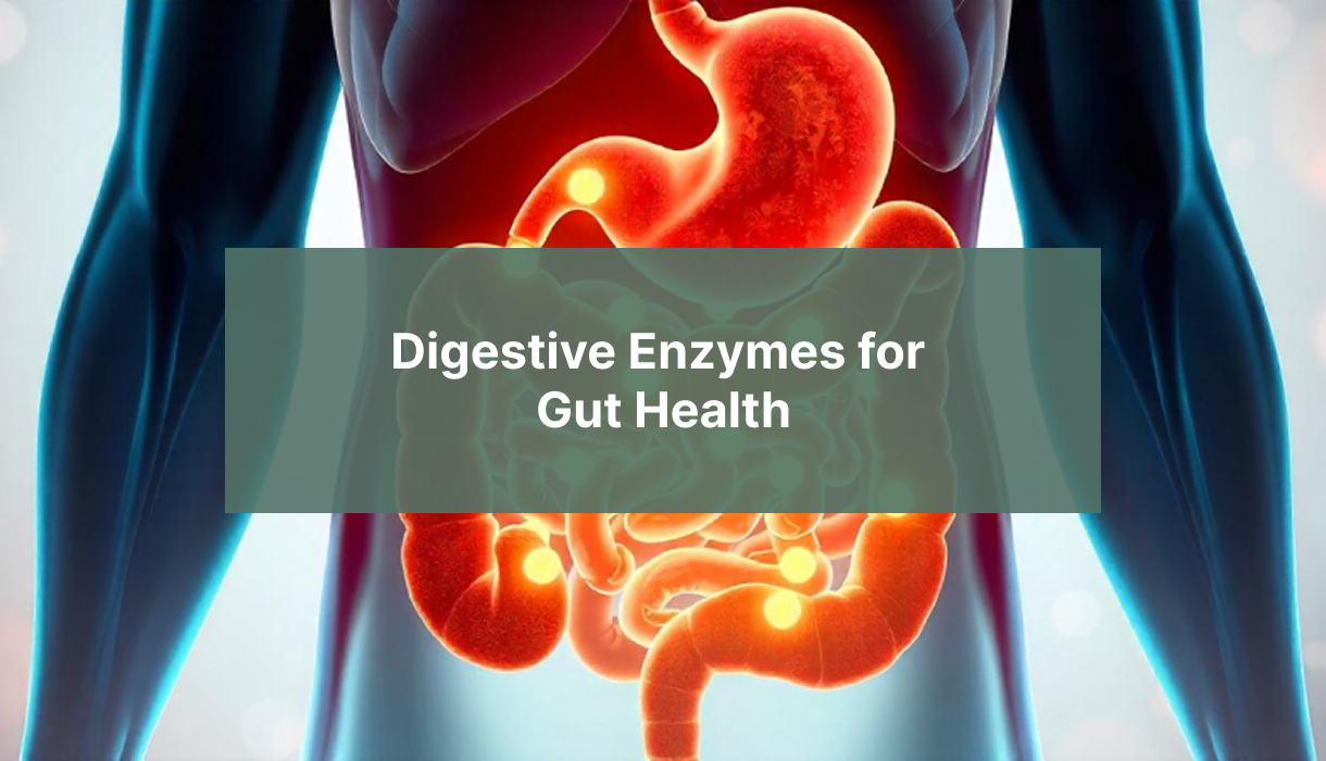 digestive-enzymes-for